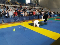 V tura Śląskiej Ligi Judo  (2019) Bytom