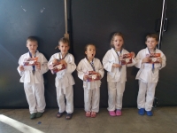 V tura Śląskiej Ligi Judo  (2019) Bytom