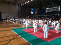 V tura Śląskiej Ligi Judo  (2019) Bytom