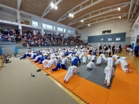 IV tura Śląskiej Ligi Judo (2023) Katowice