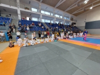 IV tura Śląskiej Ligi Judo (2023) Katowice