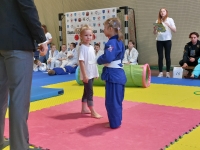 VI tura Śląskiej Ligi Judo (2023) Koszęcin