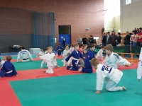 I tura Śląskiej Ligi Judo (2024) Ożarowice