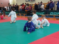 I tura Śląskiej Ligi Judo (2024) Ożarowice