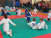 I tura Śląskiej Ligi Judo (2024) Ożarowice