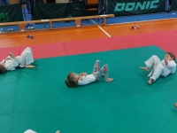 I tura Śląskiej Ligi Judo (2024) Ożarowice