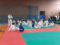 I tura Śląskiej Ligi Judo (2024) Ożarowice