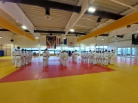 Otwarte Międzynarodowe Mistrzostwa Węgier Judo Kata (2025) Cegléd (Węgry)