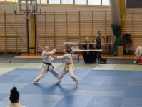 Mistrzostwa Śląska Kata (2026) Pawłowice