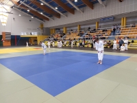 Mistrzostwa Śląska Kata (2026) Pawłowice