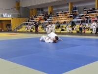 Mistrzostwa Śląska Kata (2026) Pawłowice