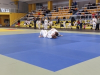 Mistrzostwa Śląska Kata (2026) Pawłowice