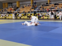 Mistrzostwa Śląska Kata (2026) Pawłowice