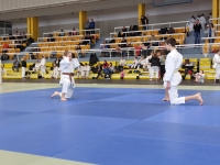 Mistrzostwa Śląska Kata (2026) Pawłowice