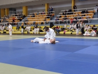 Mistrzostwa Śląska Kata (2026) Pawłowice