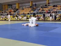 Mistrzostwa Śląska Kata (2026) Pawłowice