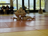 Otwarte Międzynarodowe Mistrzostwa Węgier Judo Kata (2026) Cegléd (Węgry)