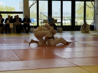 Otwarte Międzynarodowe Mistrzostwa Węgier Judo Kata (2026) Cegléd (Węgry)