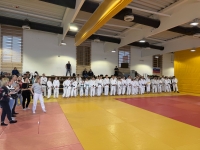 Otwarte Międzynarodowe Mistrzostwa Węgier Judo Kata (2026) Cegléd (Węgry)