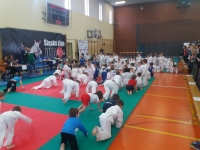 I tura Śląskiej Ligi Judo (2019) Ożarowice