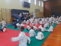 I tura Śląskiej Ligi Judo (2019) Ożarowice