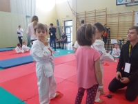 I tura Śląskiej Ligi Judo (2019) Ożarowice
