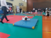 I tura Śląskiej Ligi Judo (2019) Ożarowice