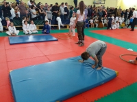 I tura Śląskiej Ligi Judo (2019) Ożarowice