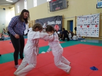 I tura Śląskiej Ligi Judo (2019) Ożarowice