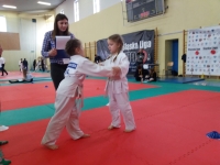 I tura Śląskiej Ligi Judo (2019) Ożarowice