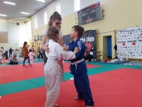 I tura Śląskiej Ligi Judo (2019) Ożarowice