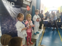 I tura Śląskiej Ligi Judo (2019) Ożarowice