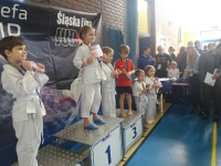 I tura Śląskiej Ligi Judo (2019) Ożarowice