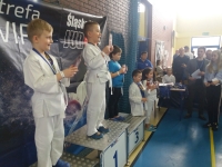I tura Śląskiej Ligi Judo (2019) Ożarowice
