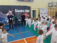 I tura Śląskiej Ligi Judo (2019) Ożarowice