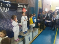 I tura Śląskiej Ligi Judo (2019) Ożarowice