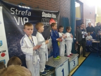 I tura Śląskiej Ligi Judo (2019) Ożarowice
