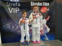 I tura Śląskiej Ligi Judo (2019) Ożarowice