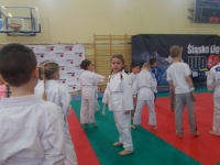 I tura Śląskiej Ligi Judo (2019) Ożarowice
