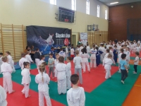 I tura Śląskiej Ligi Judo (2019) Ożarowice