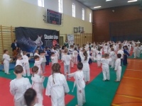 I tura Śląskiej Ligi Judo (2019) Ożarowice