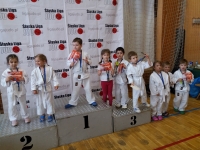 II tura Śląskiej Ligi Judo (2019) Piekary Śląskie