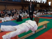 II tura Śląskiej Ligi Judo (2019) Piekary Śląskie