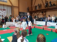 II tura Śląskiej Ligi Judo (2019) Piekary Śląskie
