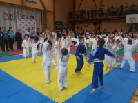 II tura Śląskiej Ligi Judo (2019) Piekary Śląskie